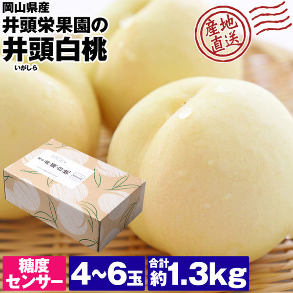【直送品】井頭白桃1.3kg