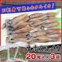 【市場品】【冷凍】生ホタルイカ 生食用20尾入り×3