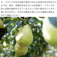 【直送品】ラフランス特秀2kg【11月上旬～12月上旬】