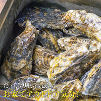 【市場品】【冷凍】牡蠣のカンカン焼き 1.5kg