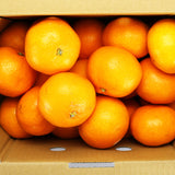 【直送品】上三みかん2kg