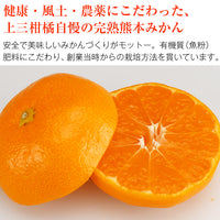 【直送品】上三みかん2kg