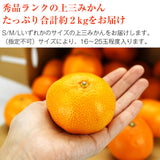 【直送品】上三みかん2kg