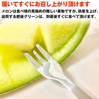 【市場品】【冷蔵】肥後グリーン2玉秀品