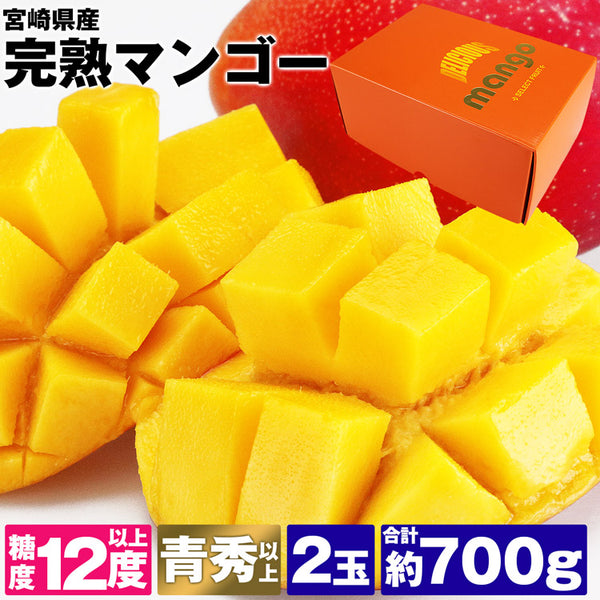 【市場品】【冷蔵】宮崎完熟マンゴー2玉