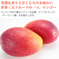 【市場品】【常温】宮崎完熟マンゴー2玉