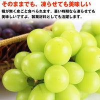 【市場品】【冷蔵】シャインマスカット約500g