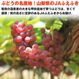 【市場品】【冷蔵】種なしキングデラウェア約1kg