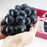 【市場品】【冷蔵】種なし巨峰約800g