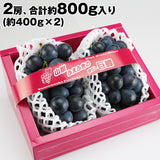 【市場品】【冷蔵】種なし巨峰約800g