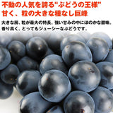 【市場品】【冷蔵】種なし巨峰約800g