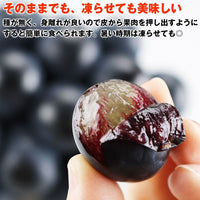 【市場品】【冷蔵】種なし巨峰約800g