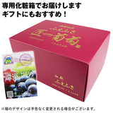 【市場品】【冷蔵】種なしピオーネ約800g