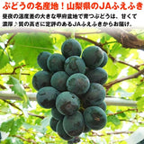 【市場品】【冷蔵】種なしピオーネ約800g