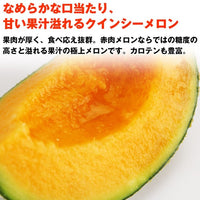 【市場品】【常温】クインシーメロンJA茨城旭村5kg箱満杯詰め