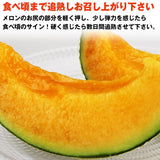 【市場品】【常温】クインシーメロンJA茨城旭村5kg箱満杯詰め