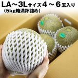【市場品】【常温】タカミメロン5kg箱満杯詰め