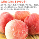 【市場品】【冷蔵】品種厳選贈答用桃約1.8kg