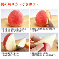 【市場品】【冷蔵】品種厳選贈答用桃約1.8kg