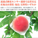 【市場品】【冷蔵】品種厳選贈答用桃約1.2kg