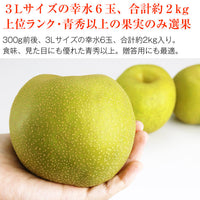 【市場品】【冷蔵】幸水梨贈答用約2kg