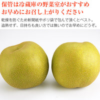 【市場品】【冷蔵】幸水梨贈答用約2kg