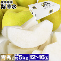 【市場品】【冷蔵】幸水梨約5kg