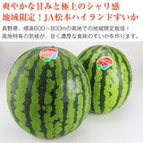 【市場品】【常温】JA松本ハイランドすいか1玉約6kg