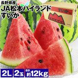 【市場品】【常温】JA松本ハイランドすいか2玉約12kg
