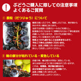 【市場品】【冷蔵】産地厳選露地シャインマスカット＆ナガノパープル