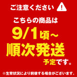 【市場品】【冷蔵】産地厳選露地シャインマスカット＆ナガノパープル