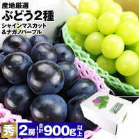 【市場品】【冷蔵】産地厳選露地シャインマスカット＆ナガノパープル