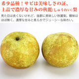 【市場品】【冷蔵】秋麗梨約5kg