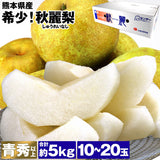 【市場品】【冷蔵】秋麗梨約5kg