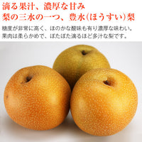 【市場品】【冷蔵】豊水梨約5kg