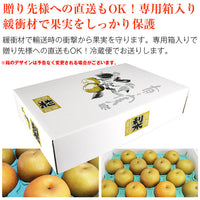 【市場品】【冷蔵】豊水梨約5kg