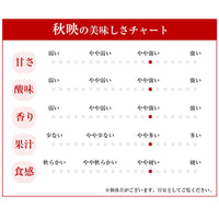 【市場品】【冷蔵】長野県産秋映約5kg