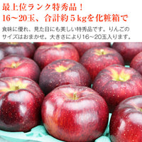 【市場品】【冷蔵】長野県産秋映約5kg