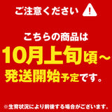 【市場品】【冷蔵】長野県産秋映約10kg