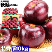 【市場品】【冷蔵】長野県産秋映約10kg