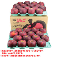 【市場品】【冷蔵】長野県産秋映約10kg