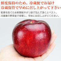【市場品】【冷蔵】長野県産秋映約10kg