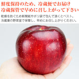 【市場品】【冷蔵】長野県産秋映約10kg
