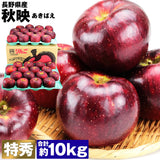 【市場品】【冷蔵】長野県産秋映約10kg