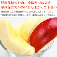 【市場品】【冷蔵】産地厳選早生ふじ約5kg