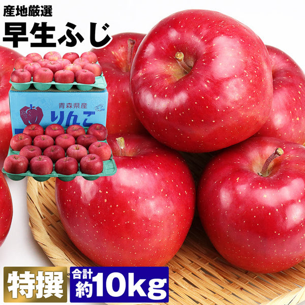 【市場品】【冷蔵】産地厳選早生ふじ約10kg