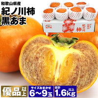 【市場品】【常温】和歌山県産紀ノ川柿黒あま優以上1.6kg以上