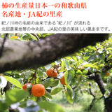 【市場品】【常温】和歌山県産紀ノ川柿黒あま優以上1.6kg以上