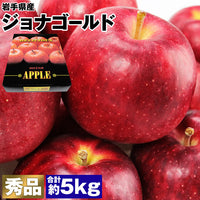 【市場品】【常温】岩手県産ジョナゴールド約5kg秀