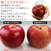 【市場品】【常温】岩手県産ジョナゴールド約5kg秀